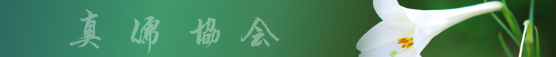 真儒協会